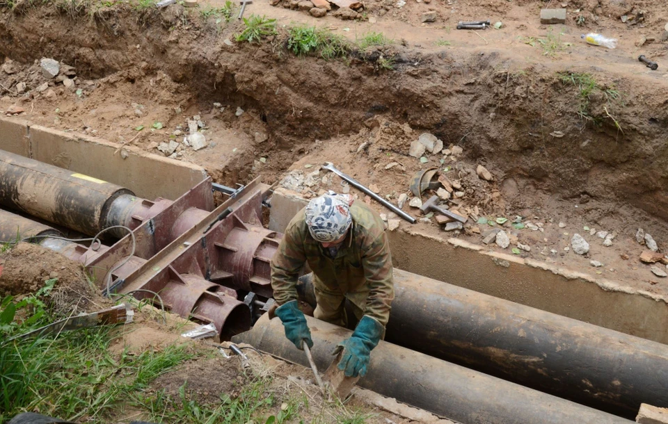 Источник: grad.kostroma.gov.ru