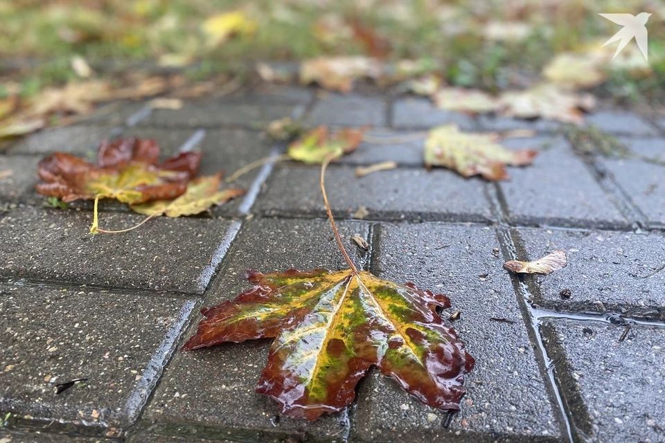 Собрали приметы и запреты на 27 октября, когда отмечают день Параскевы. Снимок носит иллюстративный характер. Фото: архив «КП»