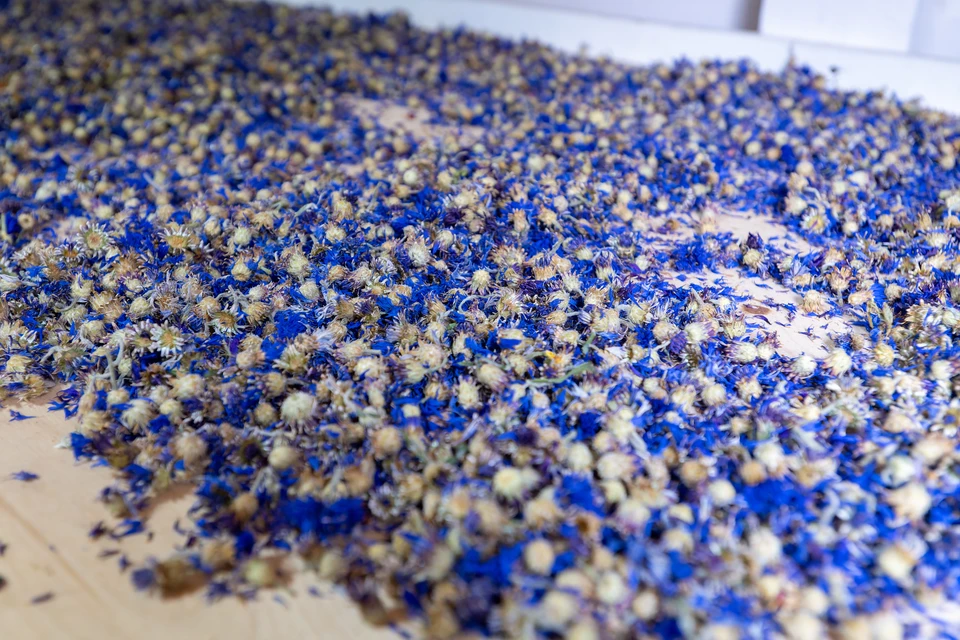 Из Приморья за рубеж отправили более 168 тонн целебных трав