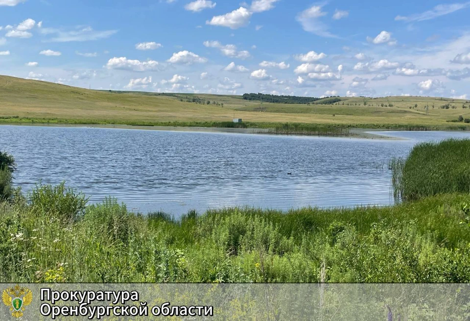 Специализированное надзорное ведомство контролирует ход исполнения судебного акта