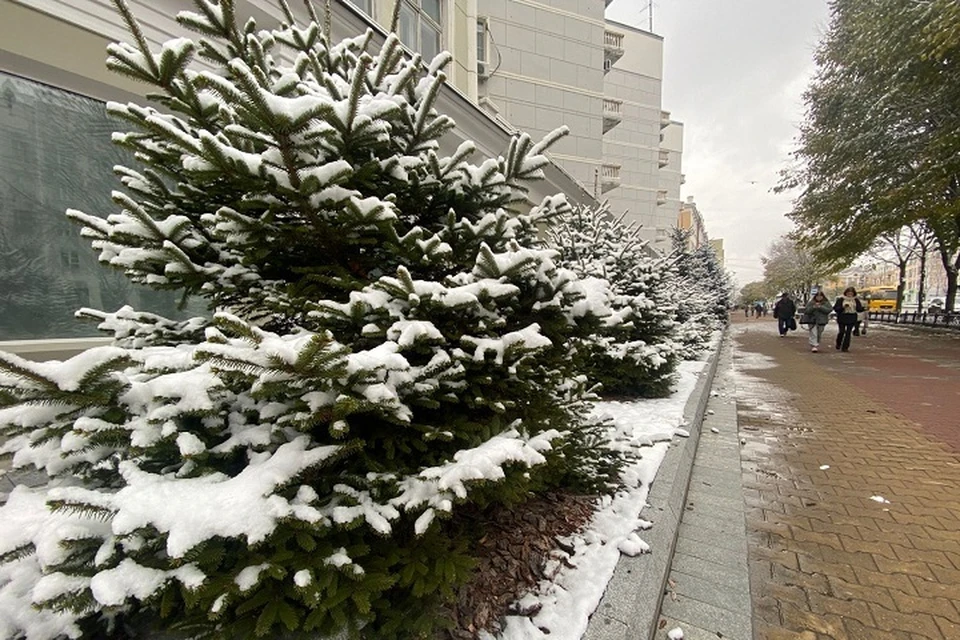 Сильные осадки и ветер прогнозируются в Хабаровском крае