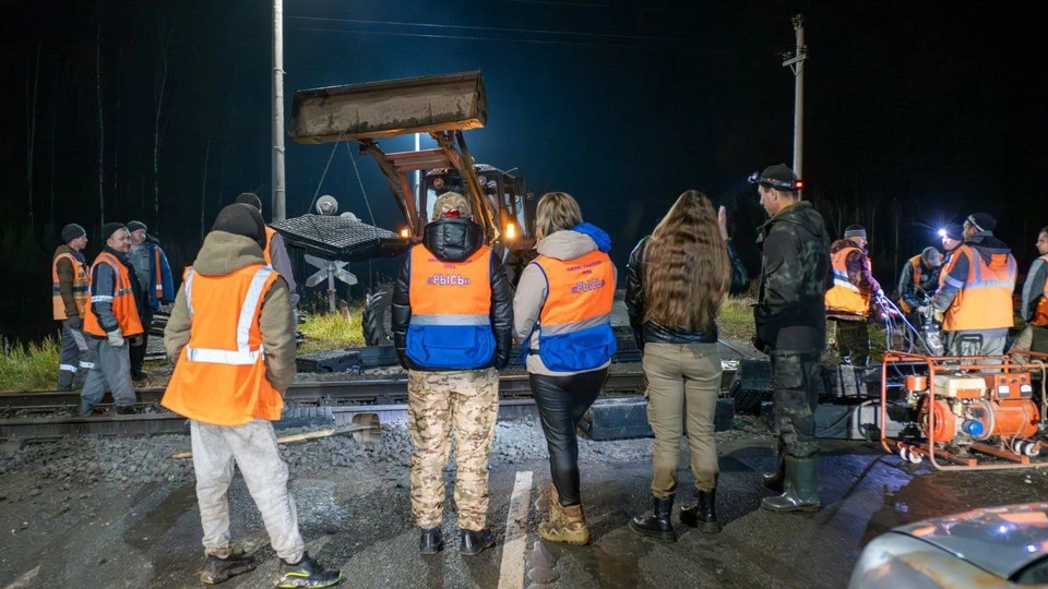 Тело пропавшего мужчины обнаружили в лесу на окраине Первомайска. Фото: ПСГ "Рысь-Арзамас"