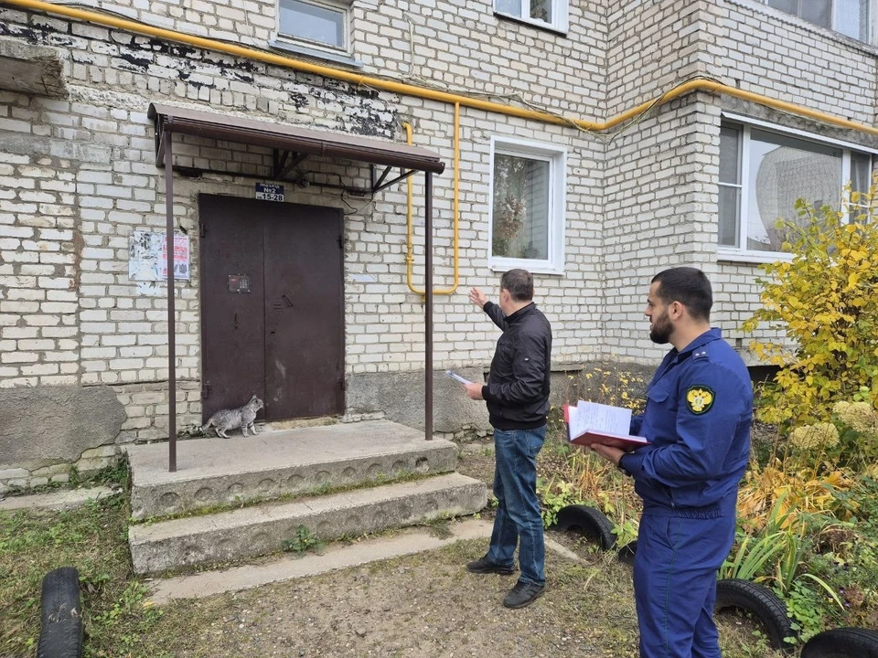 Фото: Прокуратура Владимирской области