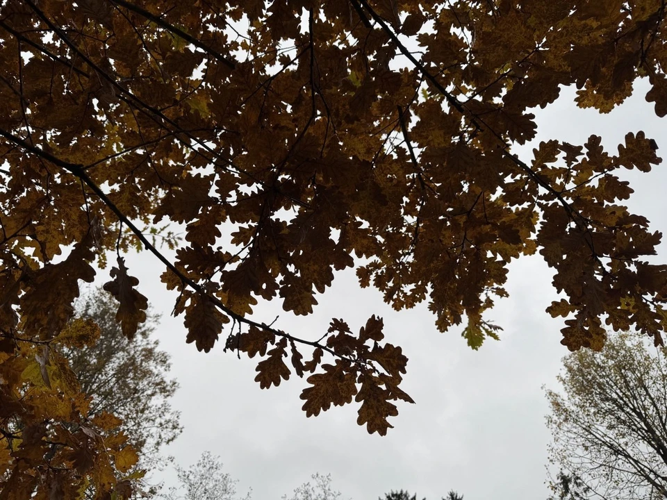 Тюменскую область и Сибирь накроют погодные опасности.