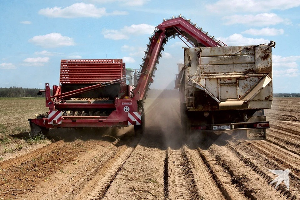 Агропромышленную выставку в Екатеринбурге посетят несколько тысяч человек