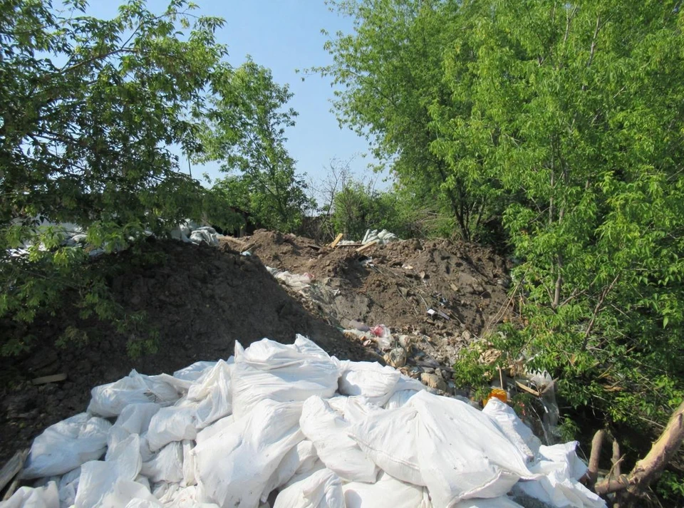 Мэрия Нижнего Новгорода заплатит 1,8 млн рублей за ущерб почве. Фото: Росприроднадзор по Нижегородской области