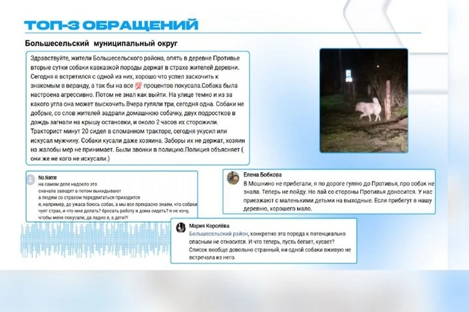 Владельцев собак накажут.