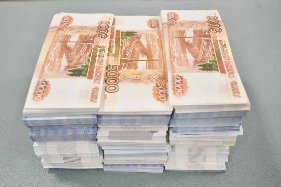 ИП задолжала крупную сумму.