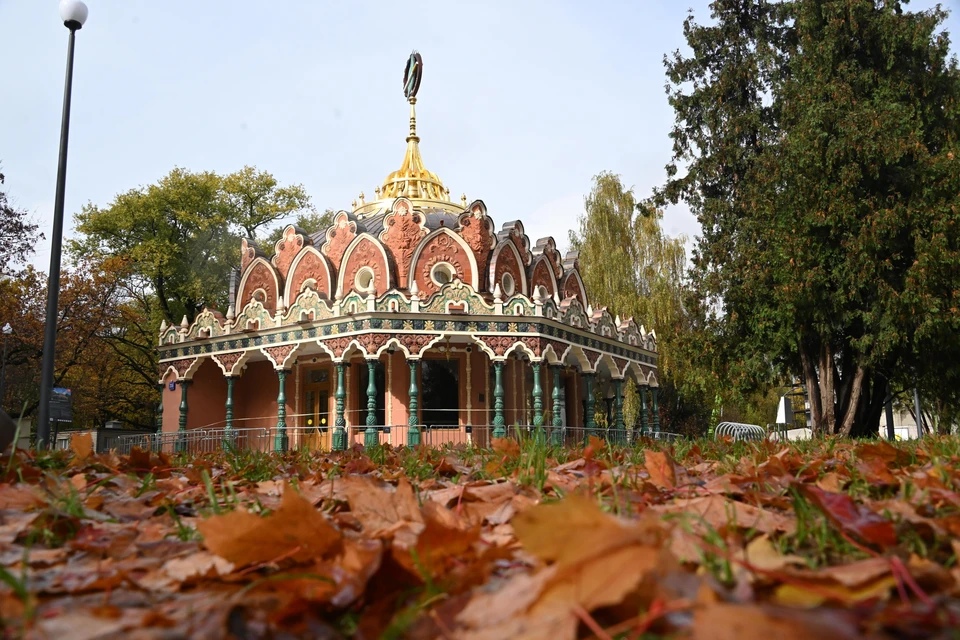 Климатолог Терешонок заявил, что осенняя погода в Москве напоминает субтропики