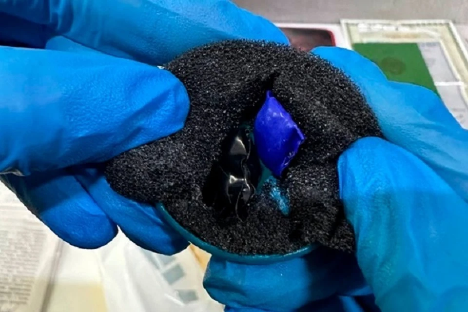 Наркотик для заключенного рыбинской ИК спрятали в губке для обуви. ФОТО: УФСИН по Ярославской области