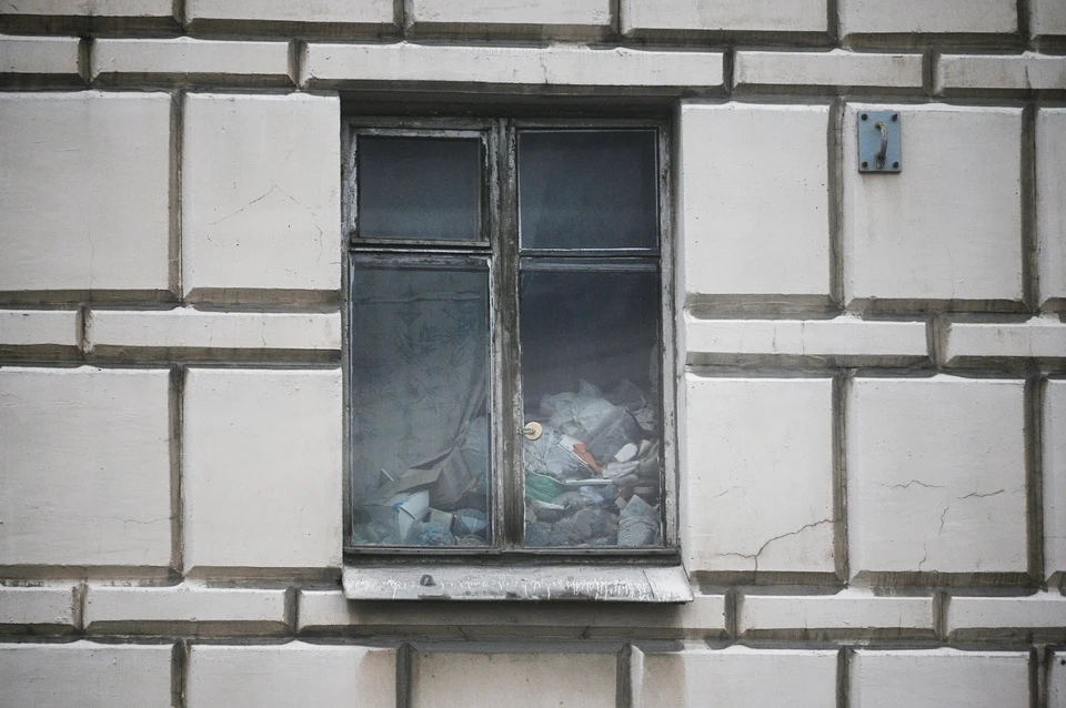 Иск направлен к москвичке, содержащей в антисанитарии квартиру с девятью кошками