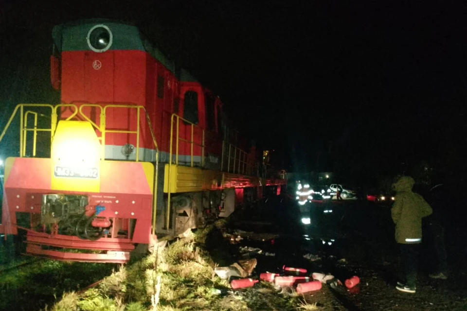 Пожар потушили 50-летним машинист и его помощник. Фото: t.me/rosgvardszo