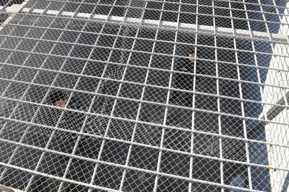 Жителя Коми приговорили за нападение на подростков с ножом