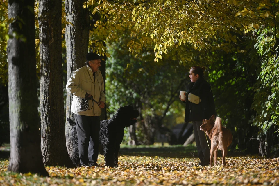 В дневные часы воздух прогреется до +15 градусов.