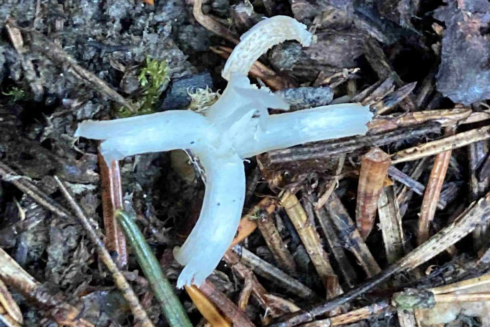 Фото: нацпарк «Таганай»