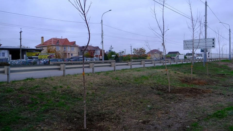 Фото: Администрация Астрахани