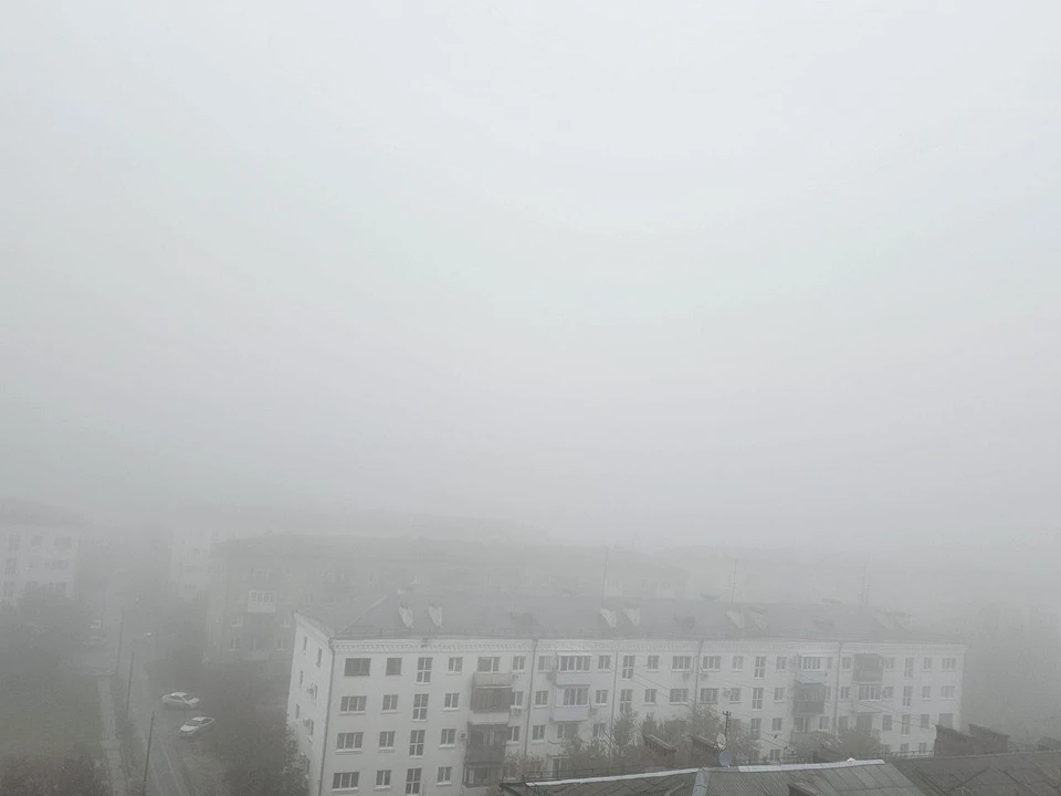 Из-за тумана волгоградцы дышат выхлопами.