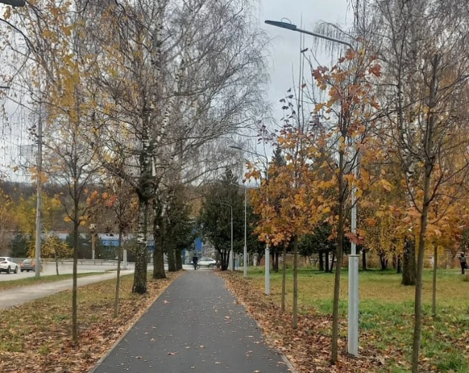 На тульском веломаршруте «Лев Толстой» заработало новое освещение.