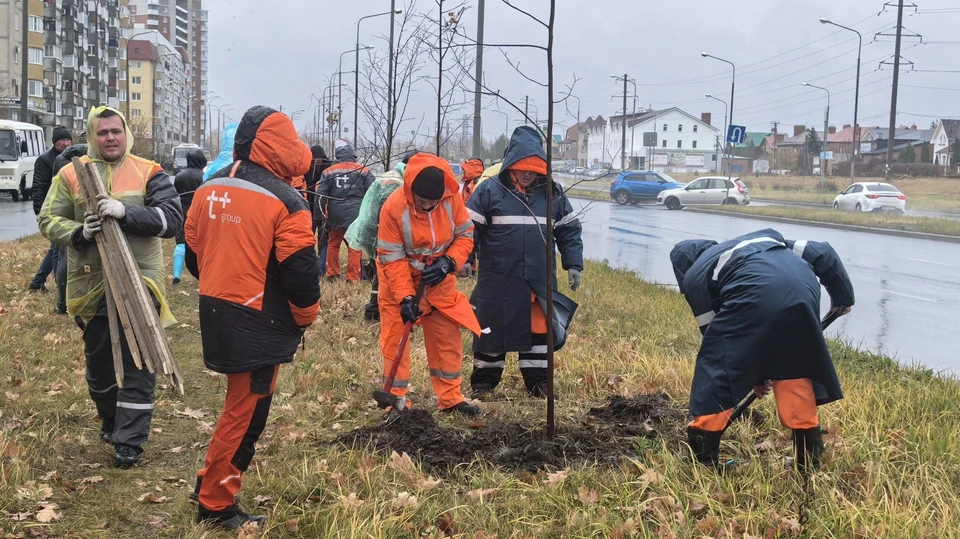 Акция по посадке деревьев состоялась, несмотря на дождливую погоду / Фото: Т Плюс