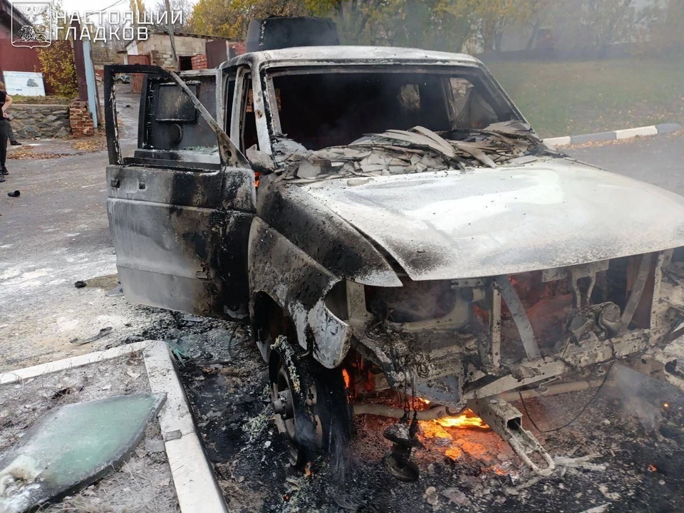 Водитель и Татьяна Петровна успели покинуть автомобиль прямо перед ударом. Транспортное средство сгорело.