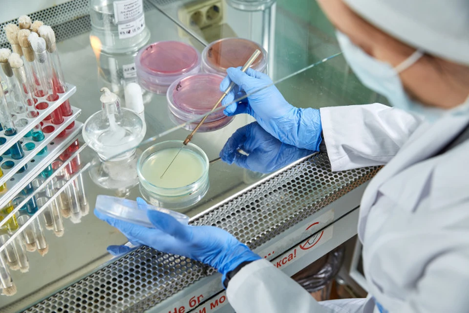 Бактерии группы кишечной палочки были выявлены в рульке в ходе лабораторного проверочного контроля. Фото: Тверской филиал ФГБУ "ВНИИЗЖ"