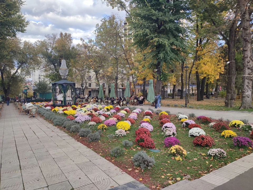 Фото: соцсети