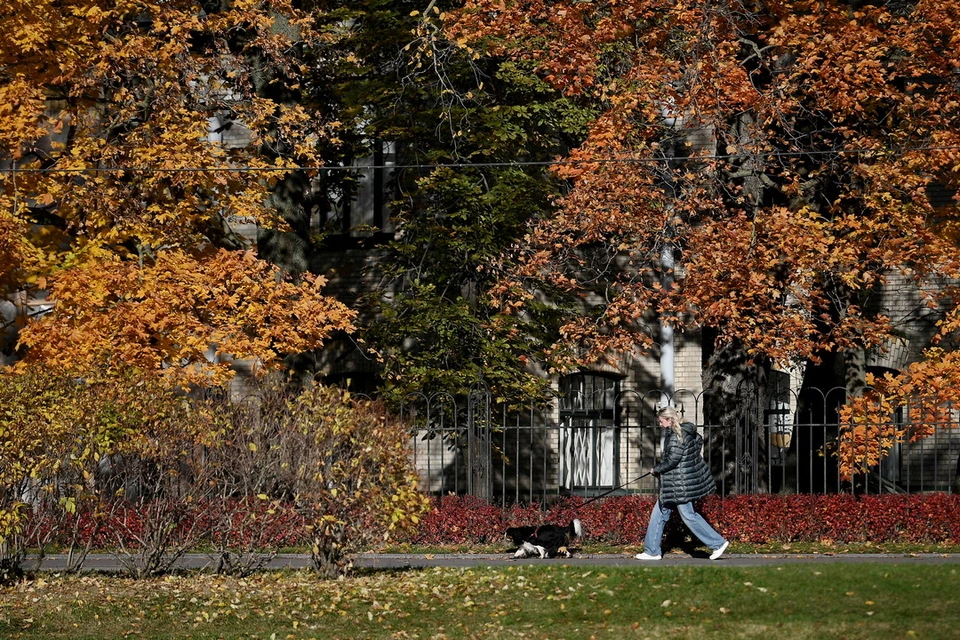 Теплая погода с температурой до +15 градусов ожидается в Новосибирской области.