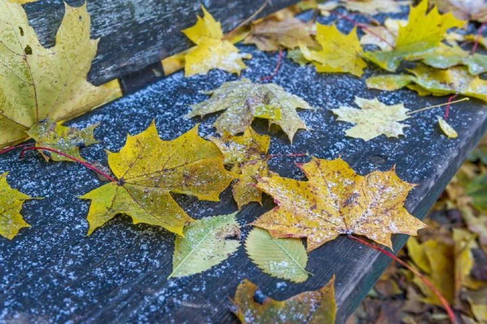Прошедшие дожди снизили пожароопасность в большинстве районов
