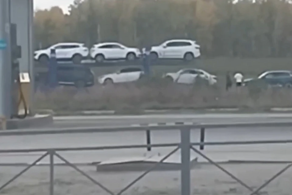 В Новосибирской области задержали четырех подозреваемых в мошенничестве с грузоперевозками. Фото: МВД России