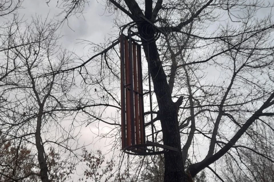 Полиция напоминает родителям о необходимости контроля за поведением детей