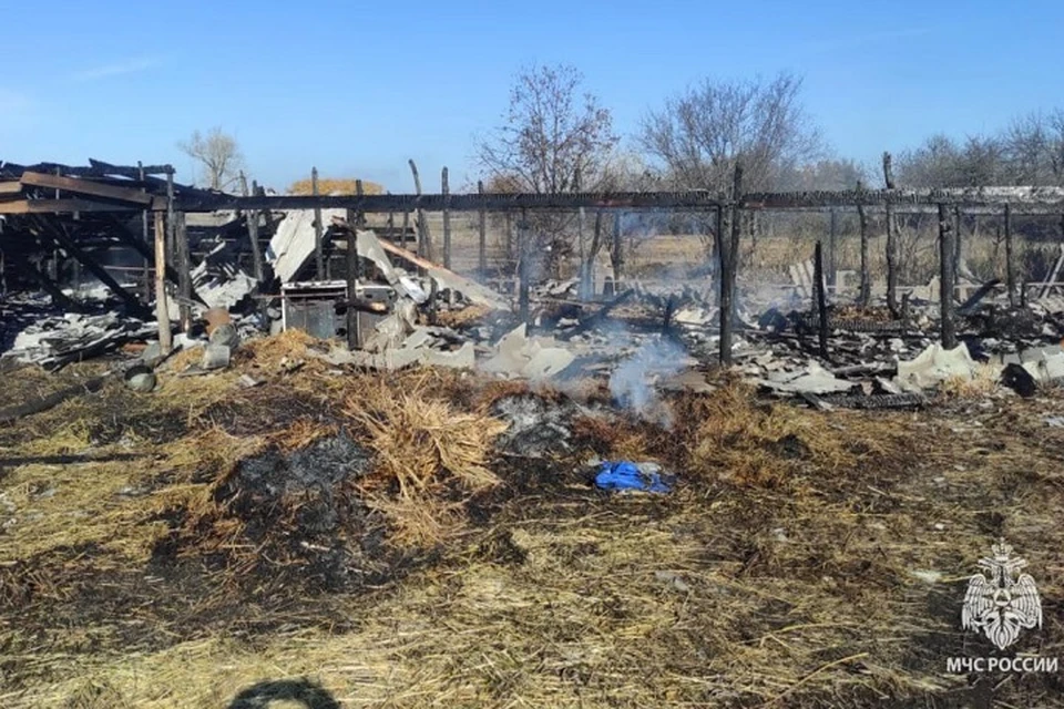 Пламя разгорелось из-за доильного аппарата, который забыли выключить. Фото: пресс-служба ГУ МЧС России по Ростовской области