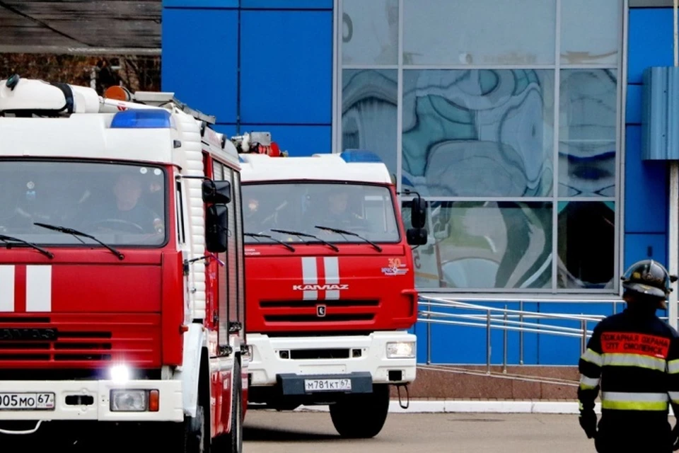 Фото: пресс-служба ГУ МЧС России по Смоленской области.