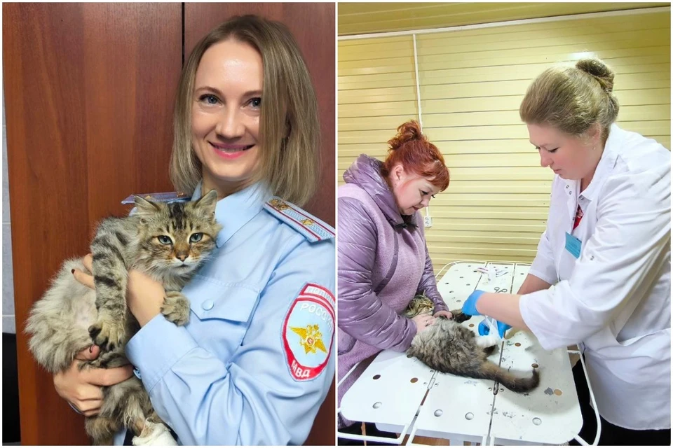 Фото: МВД по Красноярскому краю