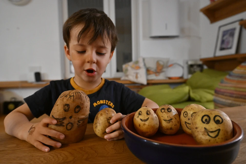 Что происходит с ценами на картофель и что говорят фермеры