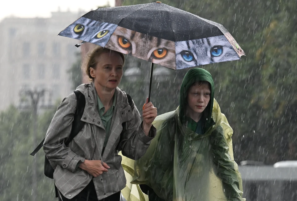 Дожди возможны на юге Приморского края.