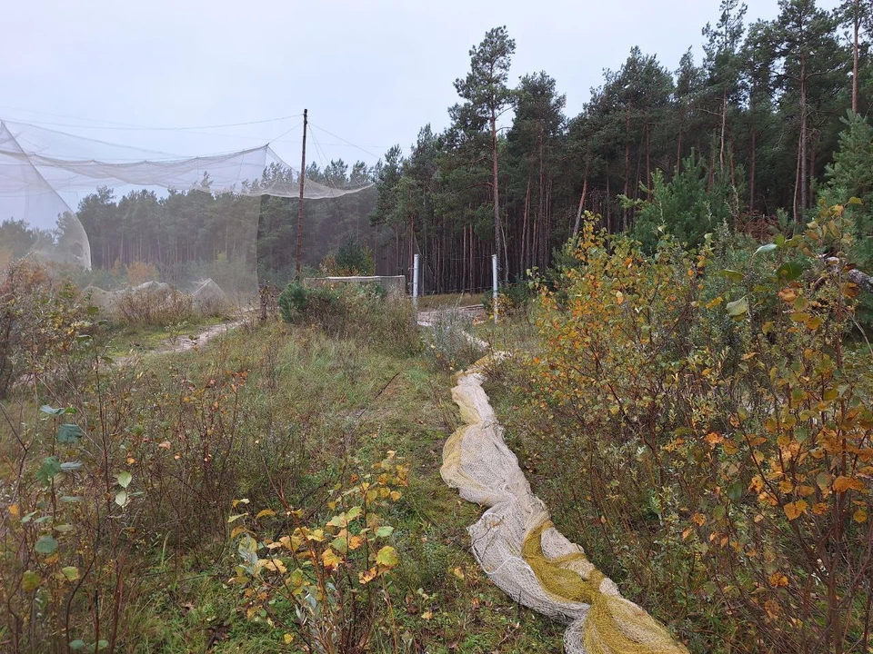 Телеграм-канал биостанции.