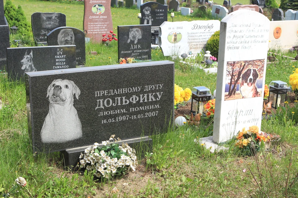 Фото: Руслан ВОРОНОЙ