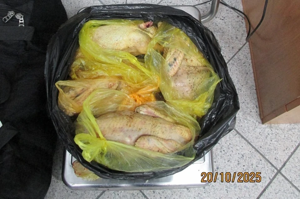 Фото: Россельхознадзор по Тюменской области, ХМАО и ЯНАО