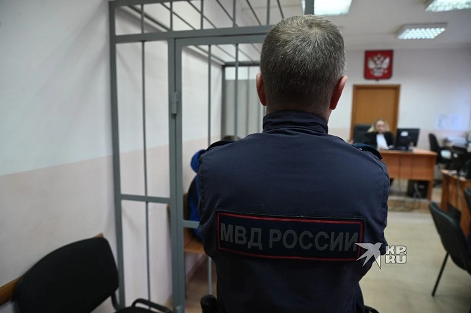 Экс-силовика отправили в колонию строгого режима