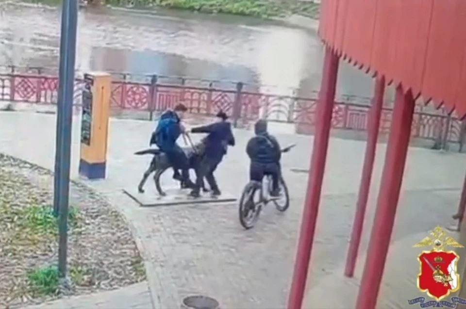 Стоп-кадр видео, УМВД области.