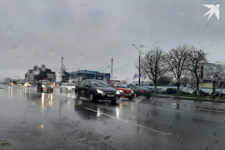 МЧС сообщило о риске падения деревьев в Беларуси 31 октября. Фото используется в качестве иллюстрации: архив «КП».