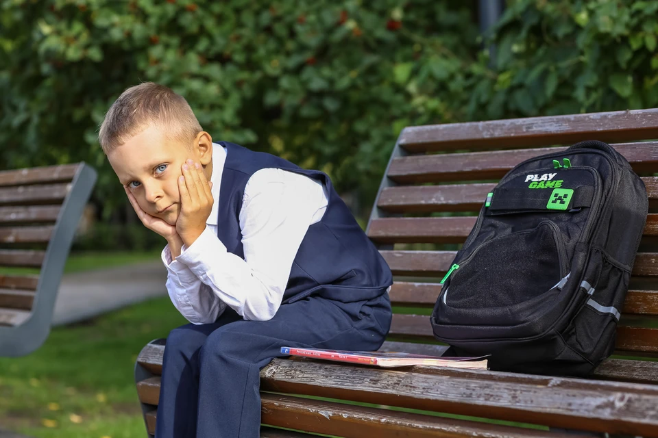 Проблема с нехваткой мест в образовательных учреждениях в новом жилом районе назревала давно