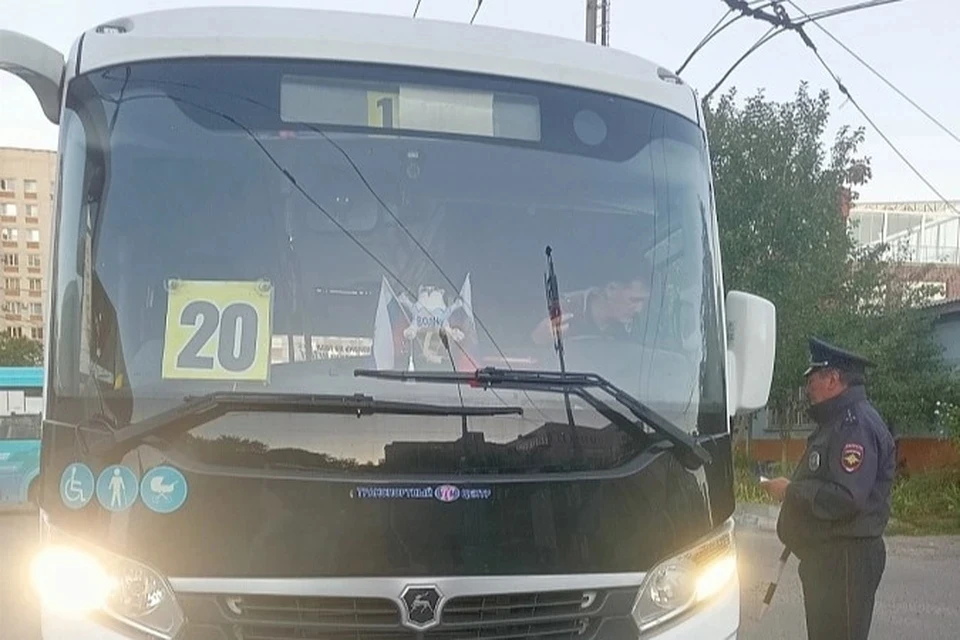 Фото: миндор СК