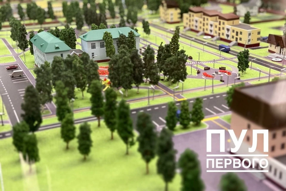 Александру Лукашенко рассказали, что воздух в Березинском биосферном заповеднике в 300 раз чище, чем в Минске. Фото используется в качестве иллюстрации: телеграм-канал «Пул Первого».