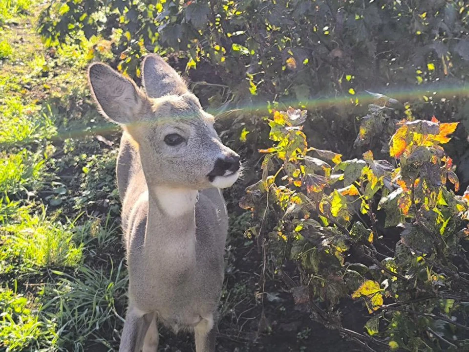 Фото: Татьяна Леппо.