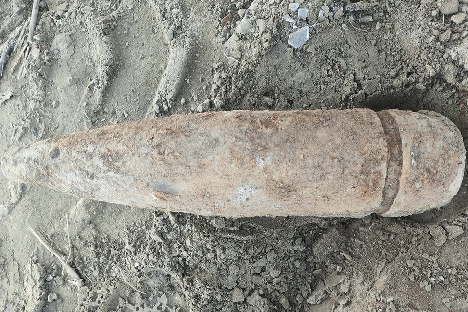 В ходе обследования они установили, что это 152-мм снаряд без взрывателя. Фото: Управления Росгвардии по Новосибирской области