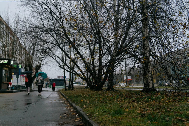 Главные новости Ижевска на утро 1 ноября: срок для Аяза Шабутдинова и фейковый приказ