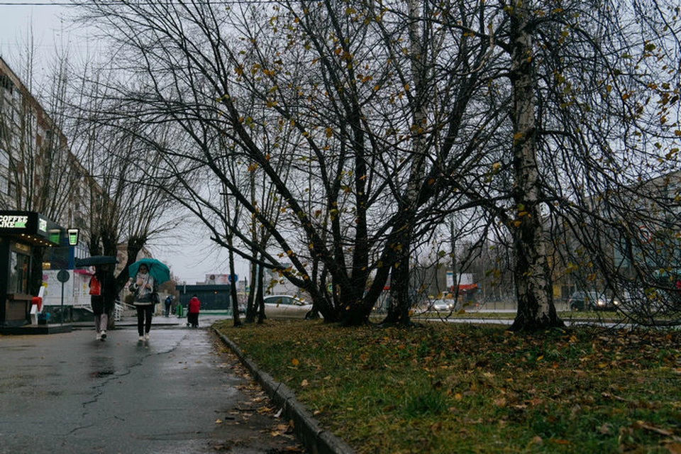 Еще один отличный день!