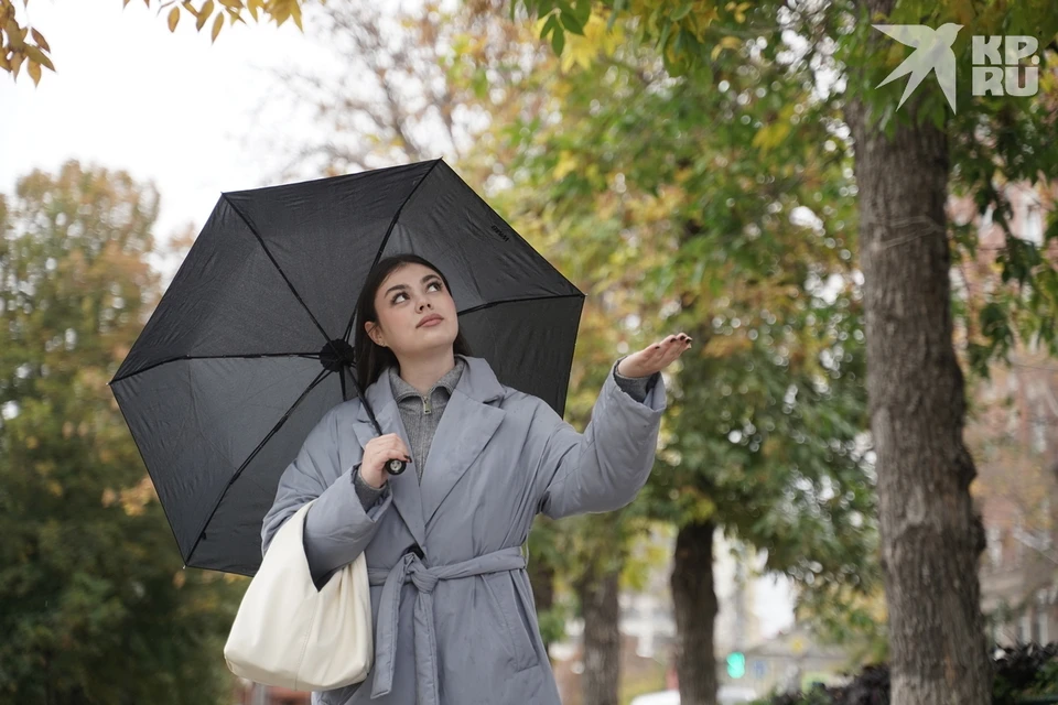 В Рязанской области прекратятся осадки, но начнутся ночные заморозки.