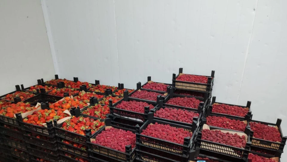 Фото: Сибирское межрегиональное управление Россельхознадзора.